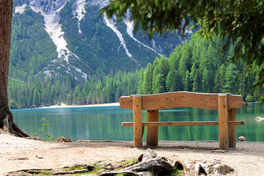 Bench On The Shore Of A Mountain Lake
