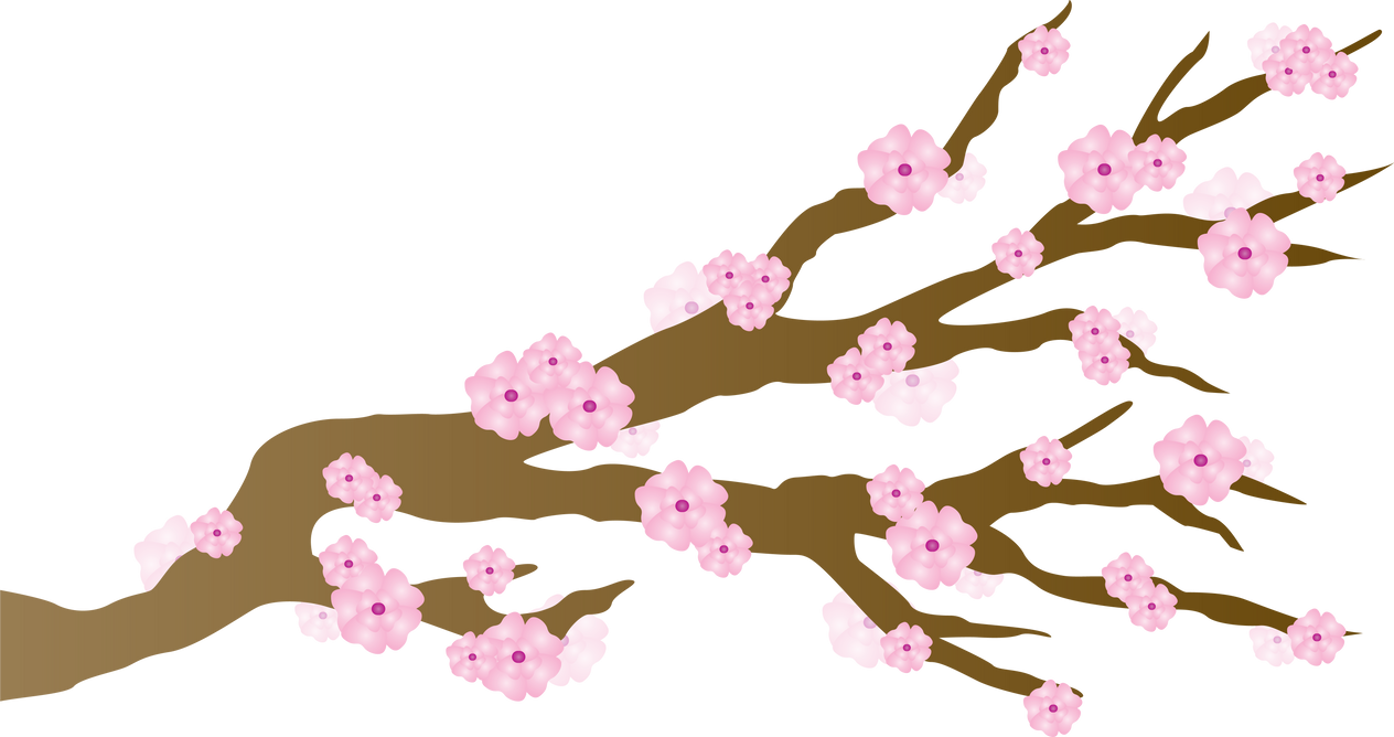 Cherry Blossoms Illustration     